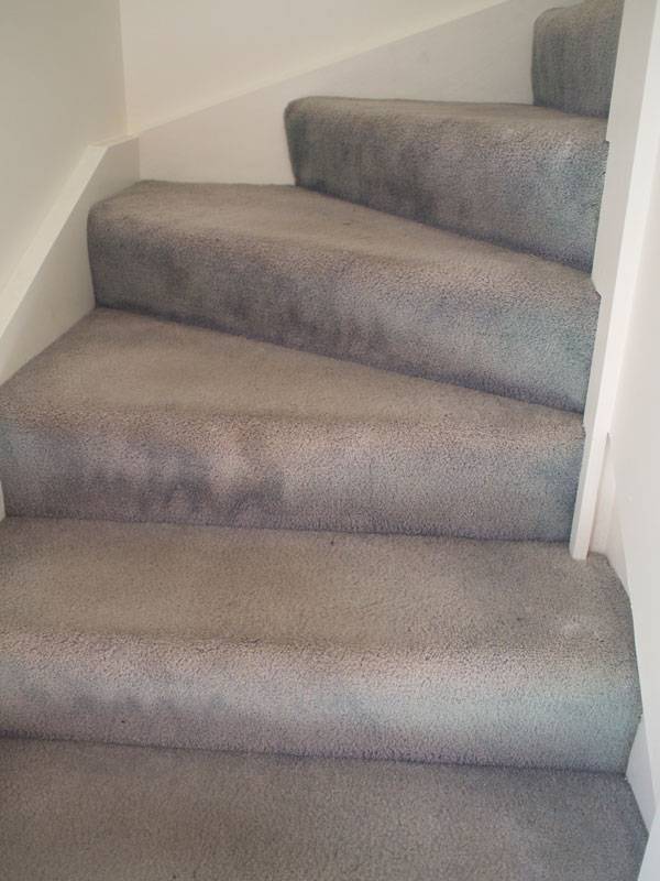 tile wizards carpet renovation 3 tile wizards carpet renovation 3