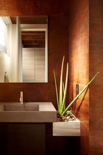 bathroom plant aloe 1 bathroom plant aloe 1