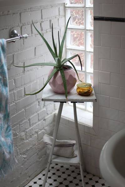 bathroom plants aloe 3 bathroom plants aloe 3