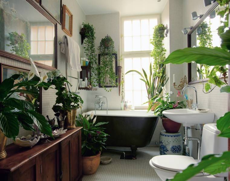 Bathroom with plants