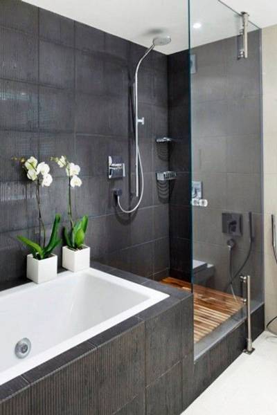 bathroom plants orchid 2 bathroom plants orchid 2