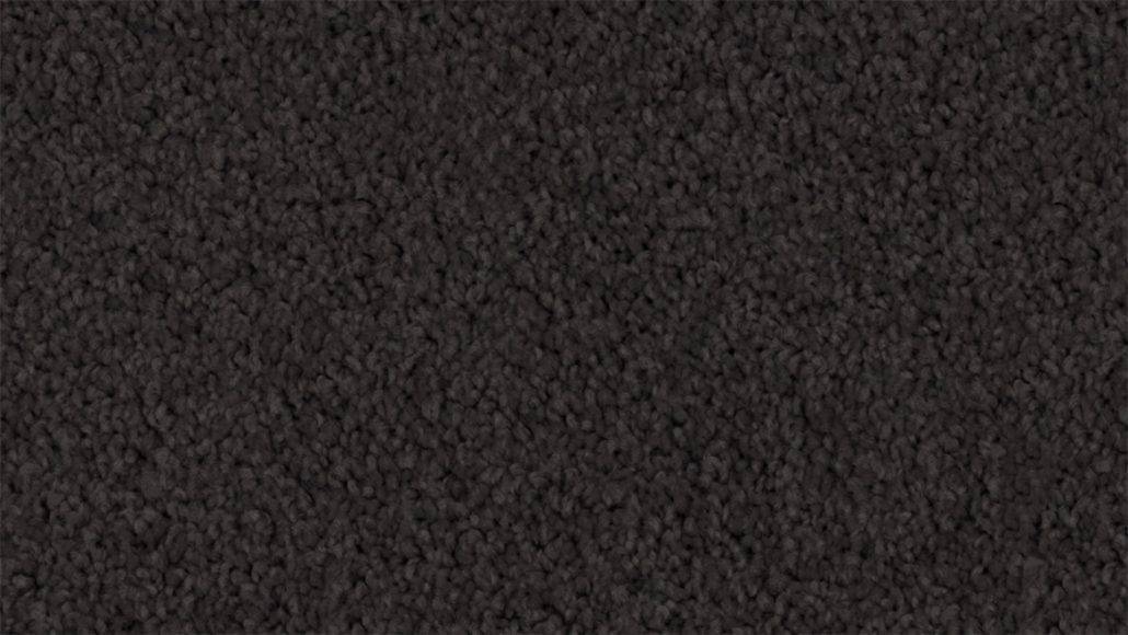 Feltex Discovery  Seal