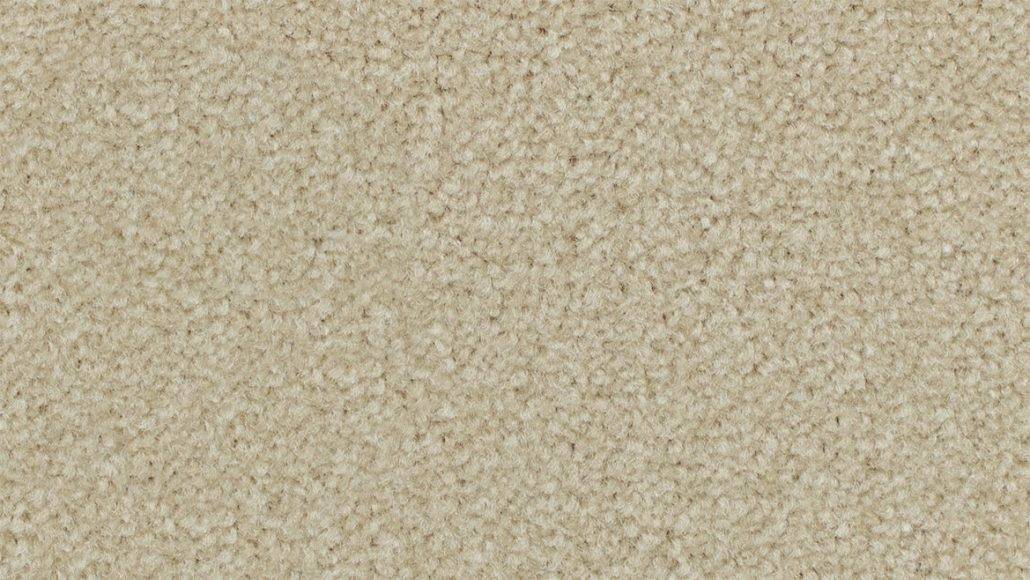 Feltex HollywoodNights  Birch