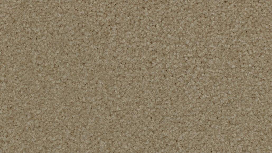 Feltex HollywoodNights  Honeycombe