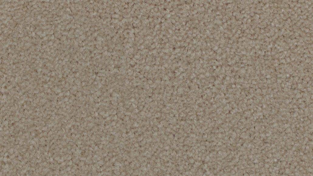 Feltex HollywoodNights WildBoar