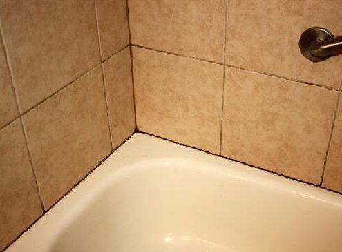 dark mould in tile grout