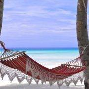 beach hammock