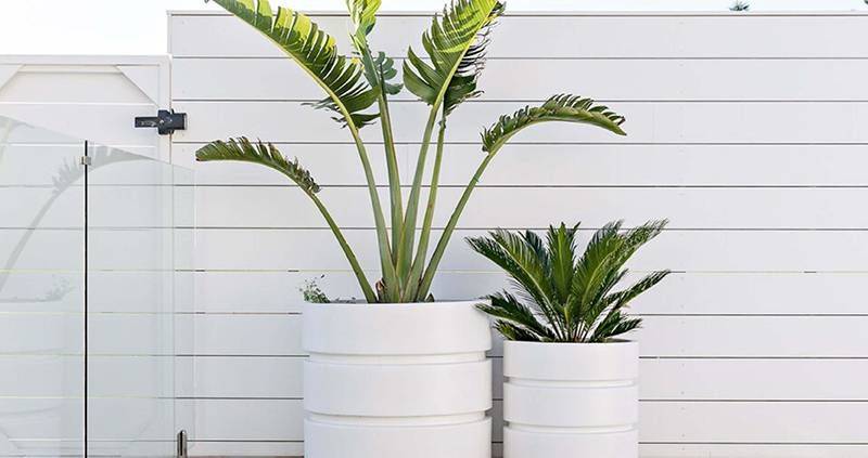 Nailing Modern Beach House Design2