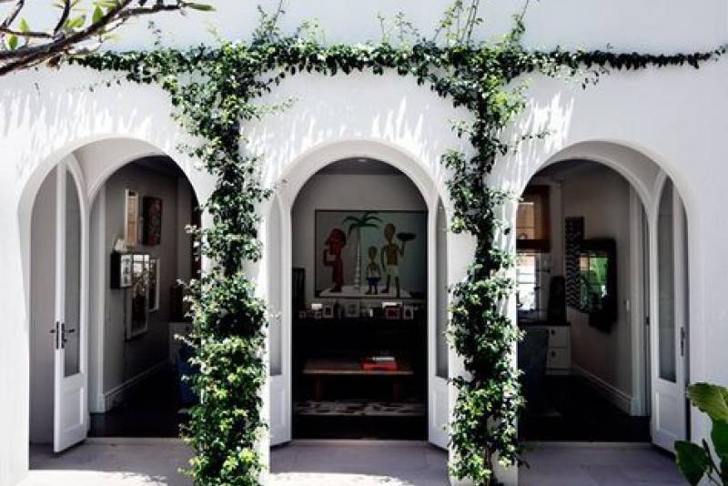 Mediterranean Design Vines