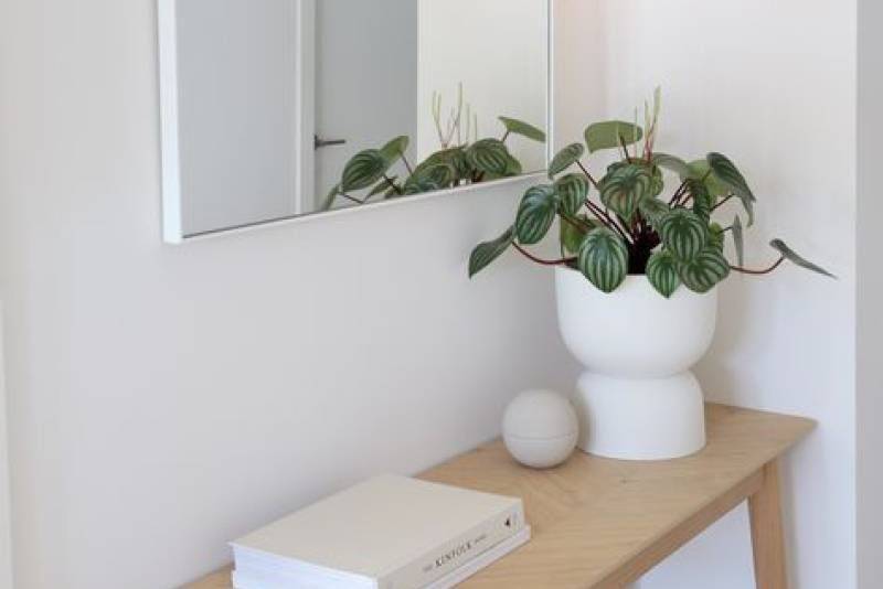 adding greenery to you space