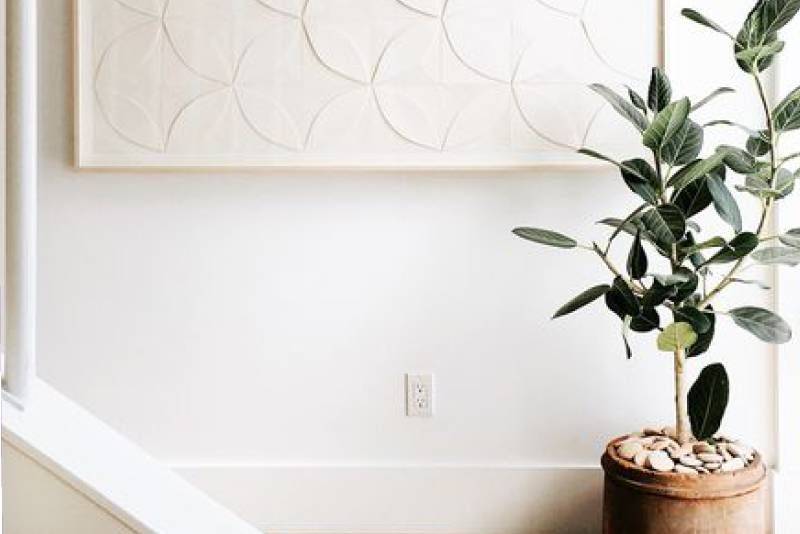 how to use indoor plants wisely