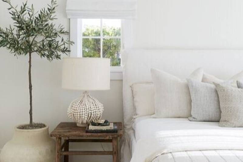 indoor plants used in bedrooms