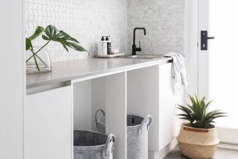 indoor plants with white interiors