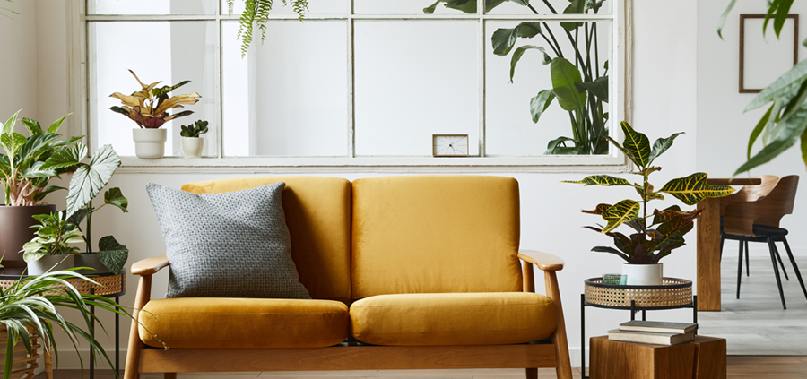 why-biophilic-design-is-on-the-rise