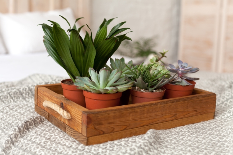 Upcoming-Home-Design-Trends